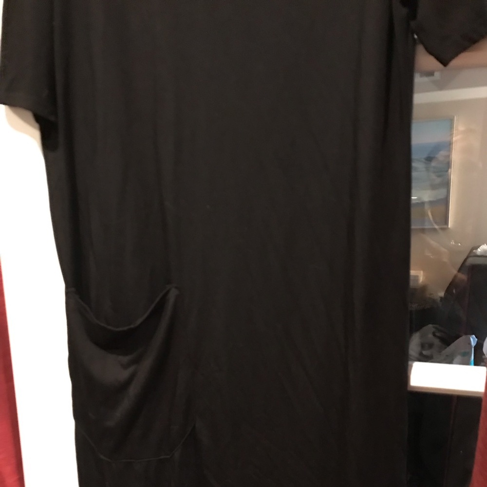 Zara dress